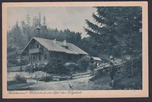 Ansichtskarte Alpl Krieglach Österreich Waldheimat Waldschule Verlag Franz