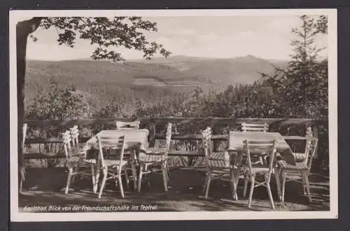 Ansichtskarte Karlsbad Tschechien Blick von der Freundschaftshöhe ins Trepltal