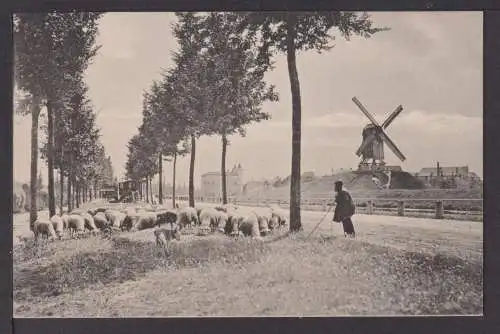 Ansichtskarte Windmühle Schäfer und Schafherde Bruges Frankreich Tiere Schafe