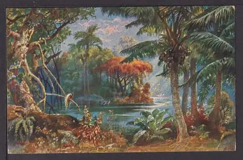 Ansichtskarte Landschaft in Kamerun Kolonialkriegerdank Deutsche Kolonien