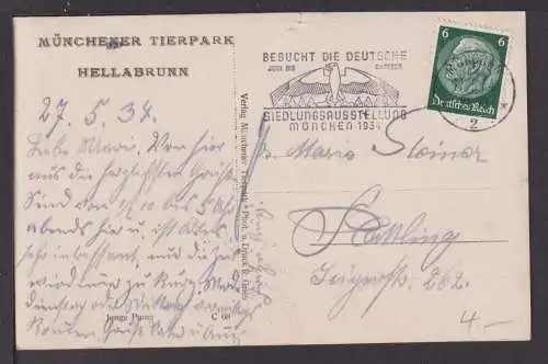 Ansichtskarte Münchener Tierpark Hellabrunn Junge Puma München Bayern 1934