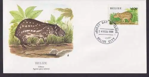 Belize Mittelamerika Fauna Tiere Gibnut schöner Künstler Brief