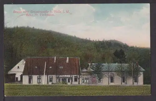 Ansichtskarte Halle NRW 1910 Gruss vom Grünenwalde b.Halle i.W. Rotenhagen