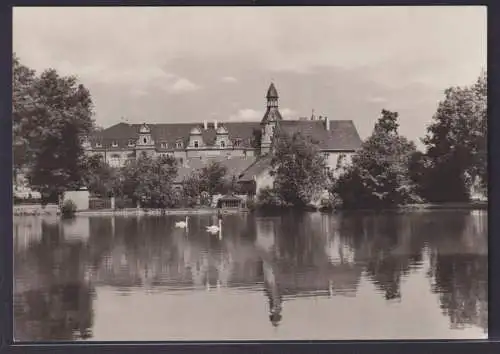 Ansichtskarte Bad Schmiedeberg Eisenmoorbad Dübener Heide Teich Schwäne