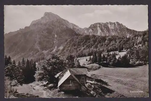 Ansichtskarte Bad Reichenhall Bayern Steineralm Hochstaufen Gebirge