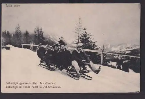 Ansichtskarte Bobfahrt Schlitten Wintersport Schneelandschaft Winter Berge Gaudi