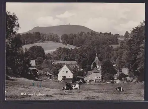 Ansichtskarte Lückendorf Ortsansicht Landschaft Hochwald Berge Luftkurort