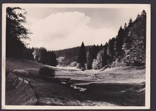 Ansichtskarte Tambach Dietharz Thüringen Apfelstädtgrund Thüringer Wald n.