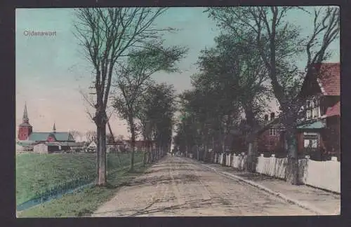 Ansichtskarte Oldenswort Schleswig Holstein Baum Allee n. Ecklack Schleswig H.