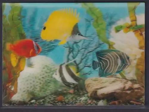 3 D Color Ansichtskarte Fische Meer Meerpflanzen nach Berlin. 08.10.1969