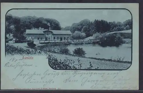 Ansichtskarte KünstlerkarteVerlag Aumühle Haus See Boote Landschaft Wald