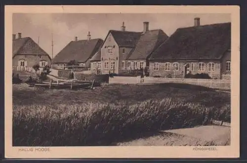 Ansichtskarte Hallig Hooge Schleswig Holsteinisches Wattenmeer Königspesel