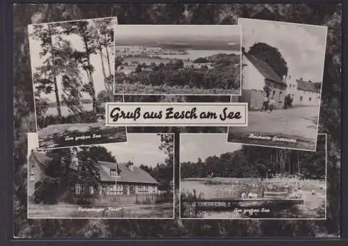 Ansichtskarte Zesch am See Reichards Gaststätte Ferienlager Forst Brandenburg