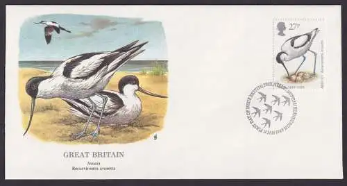 Grossbritannien Europa Fauna Vogel Avocet schöner Künstler Brief