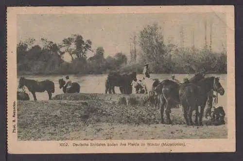 Ansichtskarte Krieg Deutsche Soldaten baden ihre Pferde Feldpost 1917 Mazedonien