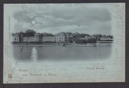 Ansichtskarte Biebrich Rheinland-Pfalz 1898 Schloss Freinsheim Rheinland-Pfalz