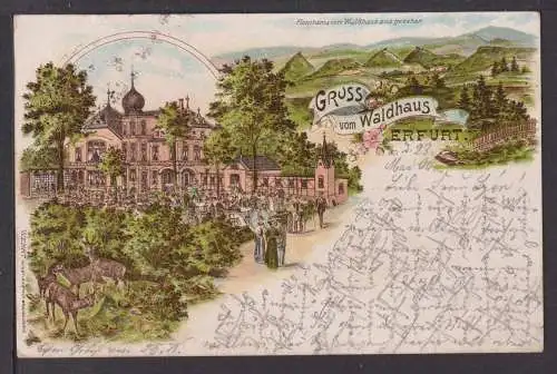 Ansichtskarte Erfurt Thüringen Waldhaus Litho 1909 Sömmerda