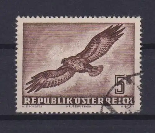 Flugpost Österreich 986 Vögel Greifvögel Mäusebussard gestempelt 1953 KatW 120,-