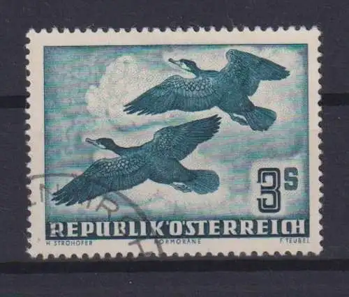 Flugpost Österreich 985 Vögel Komoran gestempelt 1953 Kat-Wert 120,00