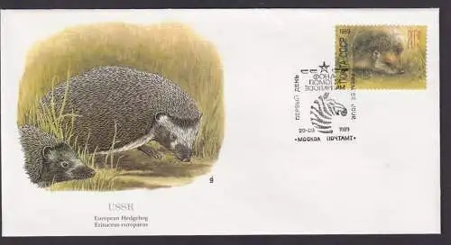 UDSSR Fauna Igel Schöner Künstler Brief