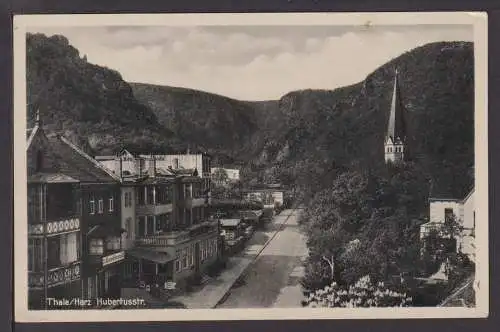 Ansichtskarte Thale Harz Sachsen-Anhalt Hubertusstraße