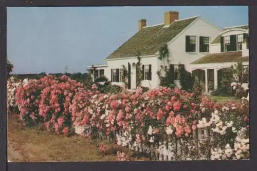 Ansichtskarte Cape Cod Massachusetts USA 1951 Gand Belgien