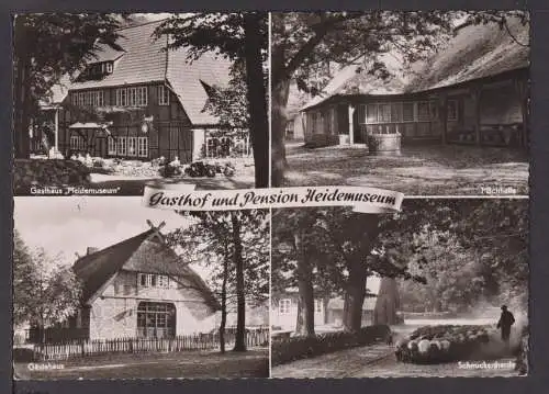 Ansichtskarte Wilsede Lüneburger Heide Niedersachsen Gasthaus Heidemuseum