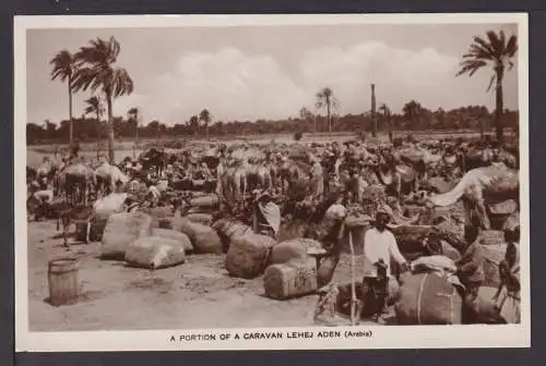 Ansichtskarte A Portion of a Caravan Lehej Aden Arabia Jemen