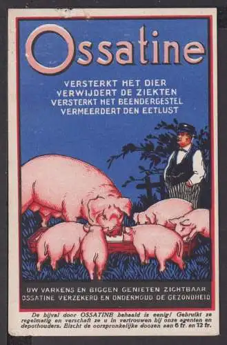 Ansichtskarten Reklame Werbung Ossatine Stickstoffhaltiges Tierfutter Niederland