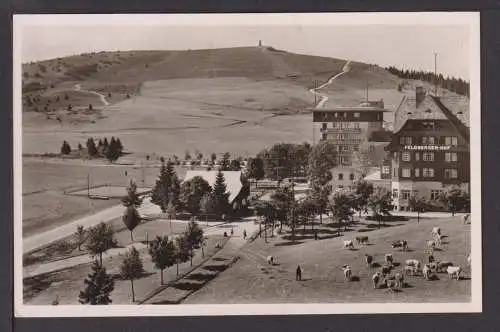 Ansichtskarte Feldberg Schwarzwald Baden-Württemberg Hotel Feldberger Hof