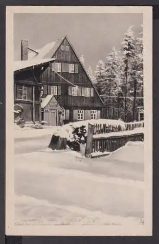 Ansichtskarte Altenberg Erzbebirge Sachsen Waldschänke Altes Raupennest