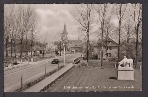 Ansichtskarte Lüdinghausen NRW Struckskuh Trechtingshausen Rheinland-Pfalz