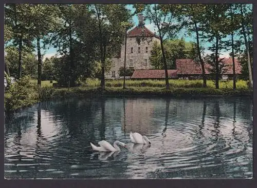 Ansichtskarte Bustedt b. Bünde Westfalen Wasserburg Teich Schwäne Verlag