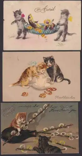 Ansichtskarten Katzen tolles Lot 16 Stück incl. Künstlerkarten wie Arthur Thiele