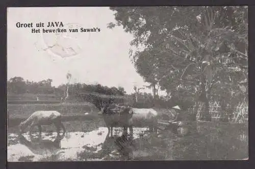 Asien Java Niederlande Niederländisch Indien Ansichtskarte Bern Schweiz 1913