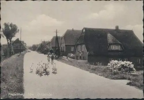 Ansichtskarte Foto Fliegenberg Elbe Dorfstraße Gänse Vögel Kinder nach Hamburg