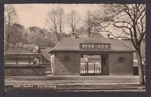 Ansichtskarte Halle Saale Sachsen-Anhalt Zoo Altenburg