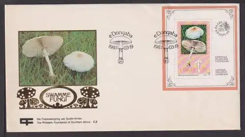 Briefmarken Südafrika Übersee Brief Block 1987 Pilze