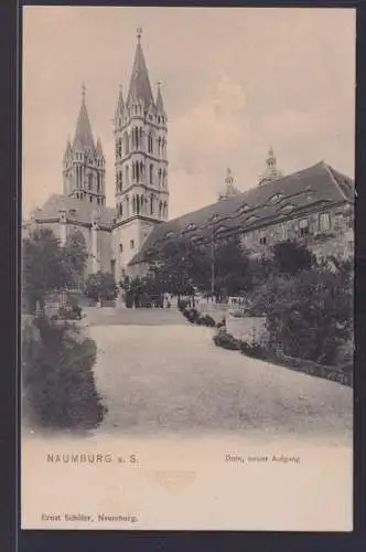 Ansichtskarte Naumburg Saale Dom Aufgang Sachsen Anhalt