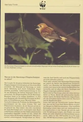 WWF Cook Island 1278-1281 Vögel Rarotonga-Fliegenschnäpper kpl. Kapitel besteh