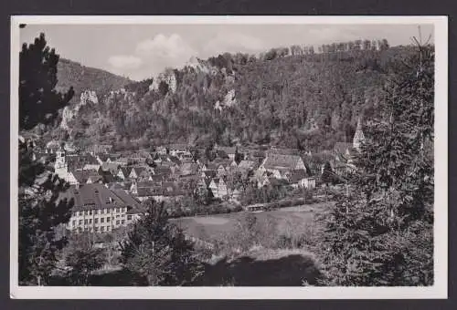 Ansichtskarte Blaubeuren Baden Württemberg Totalansicht