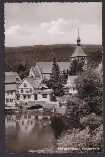 Ansichtskarte Bad Liebenzell Calw Baden Württemberg Schwarzwald Teich