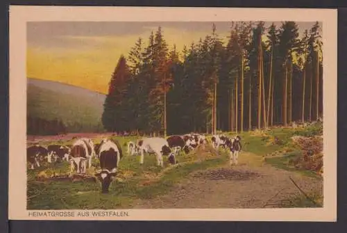 Künstler Ansichtskarte Heimatgrüsse aus Westfalen 31754 Hermann Lorch Dortmund