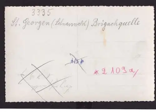 Ansichtskarte St. Georgen Schwarzwald Baden Württemberg Brigachquelle