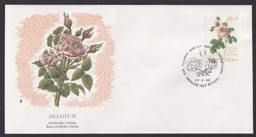 Belgium Belgien Flora Rosen schöner Künstler Brief