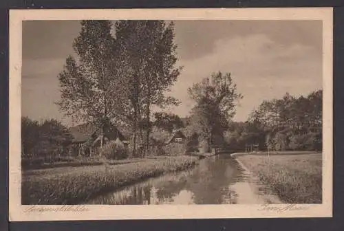 Ansichtskarte Spreewald Brandenburg Im Moor