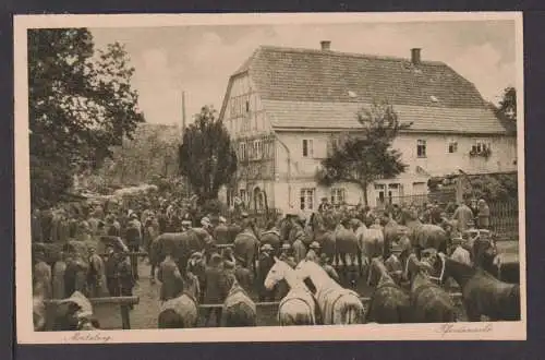 Ansichtskarte Moritzburg Sachsen Pferdemarkt