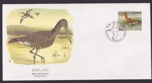 Iceland Island Fauna Vögel Uferschnäpfen schöner Künstler Brief