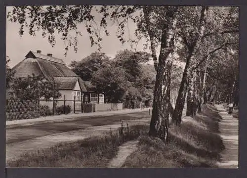 Ansichtskarte Ostseebad Graal-Müritz Mecklenburg-Vorpommern