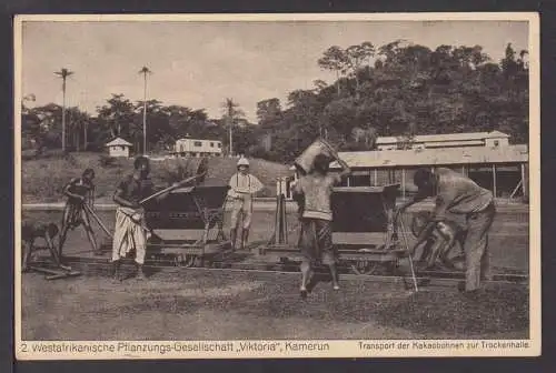 Ansichtskarte Deutsche Kolonien Kamerun Victoria Afrika Westaftrikanische